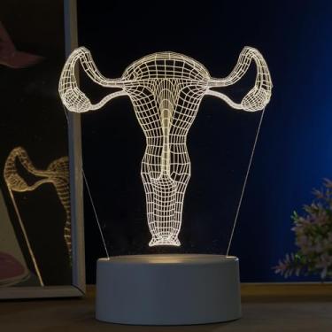 Imagem de Luminária led 3d, abajur de mesa, sistema reprodutor feminino, útero- órgãos
