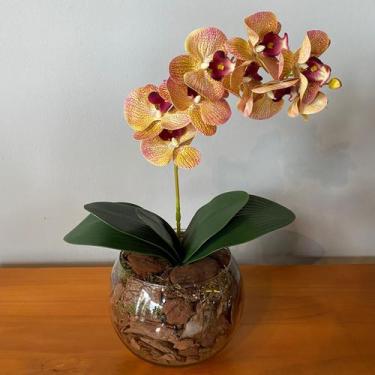 Imagem de Arranjo De Orquídea Tigre No Vaso Vidro Transparente Médio - Decore Fá