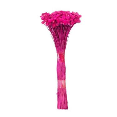 Imagem de Plantas Seca Botão Margarida Desidratado Pink - Pense Flores