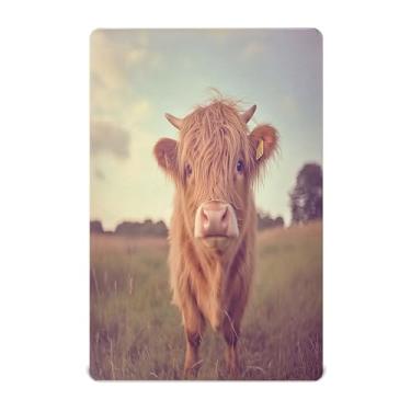 Imagem de STAYTOP Lençol de berço fofo de vaca Highland com cabelo comprido para meninos e meninas, lençol com elástico para berço padrão e colchão infantil, lençol de microfibra supermacia 99 × 27 × 5 cm