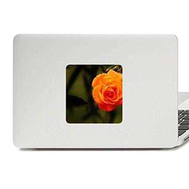 Imagem de Adesivo de vinil para laptop com folhas verdes escuras, laranja, decoração de policarbonato