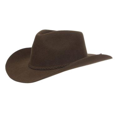 Imagem de Chapéu de Feltro Café Violeiro Pralana 30774
