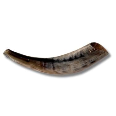 Imagem de Shofar de chifre de carneiro polido autêntico e kosher de Israel (25,4 cm - 30,5 cm)