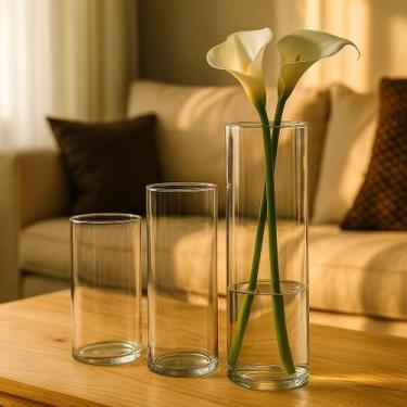 Imagem de Kit 3 Tubos de Vidro Vaso para arranjo decorativo Plantas Naturais Dec