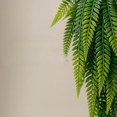 Imagem de Kit 2 Plantas Penduradas Artificial - Samambaia ou Jiboia Realista para Decoração(3 Pendente Samambaia)