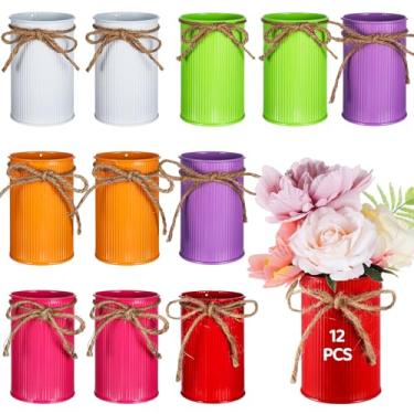 Imagem de Conjunto de vasos de metal de fazenda de 12 peças com laço de barbante, vasos cilíndricos rústicos coloridos variados de 10 cm para arranjos florais, decoração de casamento ou centros de mesa