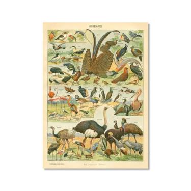 Imagem de Pôster vintage com estampa de pássaros franceses ornitologia, presentes para pássaros, educação, arte de parede, pintura em tela, sala de estar, decoração de casa (SKU5,11 x 14 polegadas=(28 x 35 cm