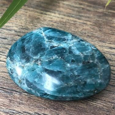 Imagem de FFIME Ornamentos naturais de pedras de palmeira e cristais de apatita minerais de quartzo para presentes decoração de jardim doméstico