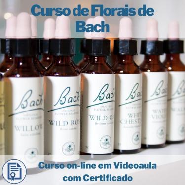 Imagem de Curso on-line em videoaula de Florais de Bach com Certificado