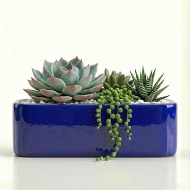 Imagem de Genérico, Barro/Terracota, Vaso Quadrado, Azul, 12x10x11 cm, Acabamento Brilhante/Pintado, Vaso de Plantas, Vaso de Chão, Recipiente para Plantas, Elegância para seu Lar