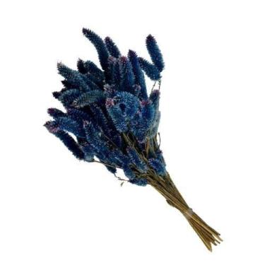 Imagem de Buque Maço Celosia Rabo de Gato  - Flores Desidratadas - Pratico Desid