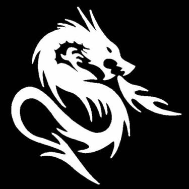 Imagem de Adesivo carro e moto Dragão kombat sticker (Branco)