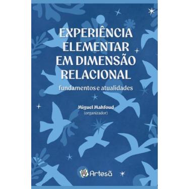 Imagem de Experiência Elementar Em Dimensão Relacional - Fundamentos E Atualidad