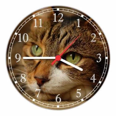 Imagem de Relógio De Parede Animais Gato Felino Pet Shop Quartz