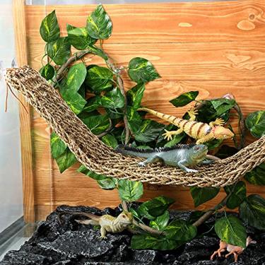 Imagem de Acessórios para habitat de lagarto para répteis incluem 75 x 18 cm, rede de lagarto, vinhas para escalador de selva e decoração de répteis com ventosas para dragões barbudos, Iguanas e outros répteis