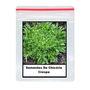Imagem de Sementes De Chicória Crespa 100 unidades - ISLA