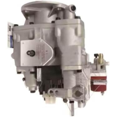 Imagem de Compatível com Cummins Engine N14 NT855 NH220 NTA855 Serve para bomba de injeção de combustível 3019487 3165797 301-9487