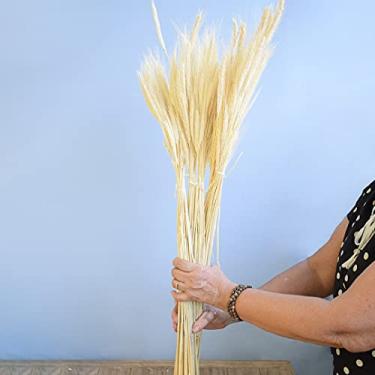 Imagem de Maço de Trigo Envelhecido | Linha Permanente Formosinha