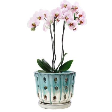 Imagem de NiSevenLiving Vasos de orquídea com furos anexados pires de 15 cm - 1 peça de vasos pequenos de cerâmica para repotting, plantador decorativo de orquídeas de cerâmica com orifício para crescimento