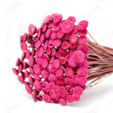 Imagem de 200 Botões Desidratado Secas - Pense Flores, Rosa