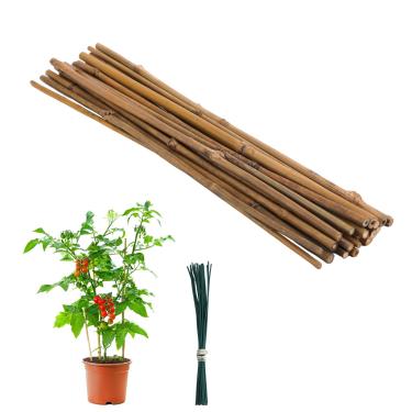 Imagem de Estacas de bambu para plantas, palitos de bambu de jardim de 45 cm, 20 peças de estacas de suporte de plantas com 20 fios para tomates, feijões, vegetais, plantas trepadeiras em vasos