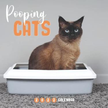 Imagem de Pooping Cats Calendar: Special Funny Gag Calendar make Everyone Laugh - Great Gifts for Adults