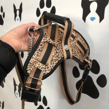 Imagem de Coleira Peitoral Guia ReforçAda Para Caes Muito Forte(ONCINHA,P)