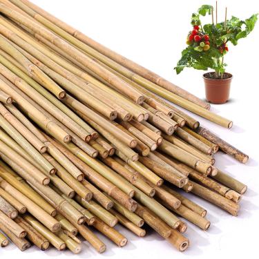Imagem de Suclain Estacas de bambu para plantas de suporte para plantas em varas de jardim internas e externas para tomate, feijão, flores, árvores em vasos e suporte de escalada (60 peças, 60 metros)
