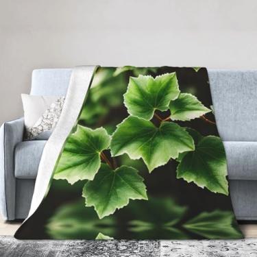 Imagem de Cobertor grande super macio, confortável e quente para cama, sofá e viagens