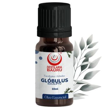 Imagem de Óleo Essencial Eucalipto Globulus - Destilaria Bauru, 10 ml