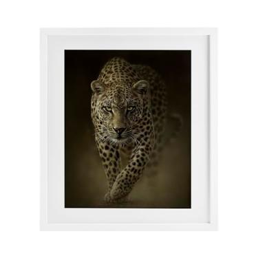 Imagem de Stupell Industries Estampa emoldurada branca Savage Leopard Predator sob o vidro por Collin Bogle, 53 x 43 cm