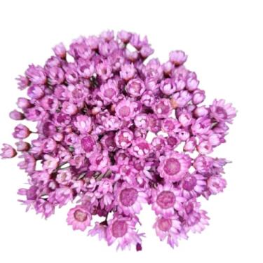 Imagem de Buque de Flores Artificiais Sempre Viva - Kit com 1.600 Flores, Tipo 1 Extra, Arranjo Decorativo para Presentes e Decoração(Lilás,1 buquê (200 florzinhas))