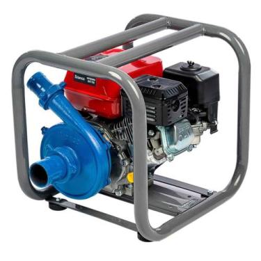 Imagem de Motobomba Centrífuga a Gasolina 6,5 cv Partida Manual Branco B4T-716