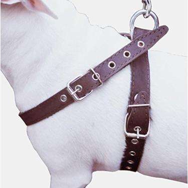 Imagem de Peitoral para cães de couro marrom médio. Peito de 53 a 63 cm, alças de 2,5 cm de largura