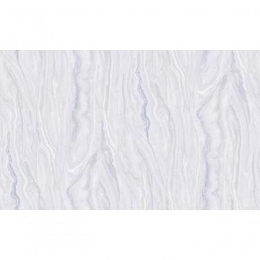 Imagem de Papel De Parede Raízes Tronco De árvore 1014931 Tam. 4m² Papel De Parede Raízes Tronco De árvore 1014931