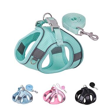 Imagem de Solmoony Peitoral para cães pequenos, médios e grandes, sem puxão, conjunto de coleira e arnês para filhotes de cachorro, arnês para cães pequenos, arnês para cães pequenos, arnês para cães pequenos, arnês para cães de malha. (verde, PPS)