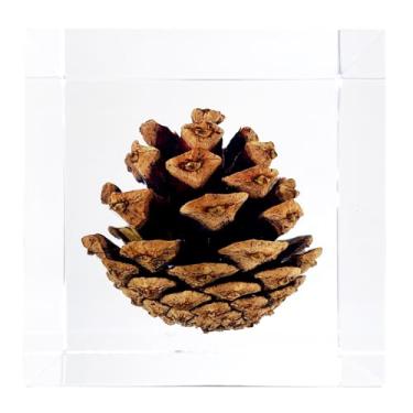 Imagem de Bon Cube Peso de papel de cubo de acrílico com flores decorativas preservadas em 3D, cubo de 6 cm 340 g, pinha marrom, decoração de prateleira de mesa estética e presente de boa sorte para ela