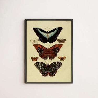 Imagem de Quadro Decorativo Borboletas Vintage 45X34Cm Com Vidro Preta - Quadros