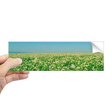 Imagem de DIYthinker Cenário de natureza florestal verde celeste adesivo retangular para janela notebook