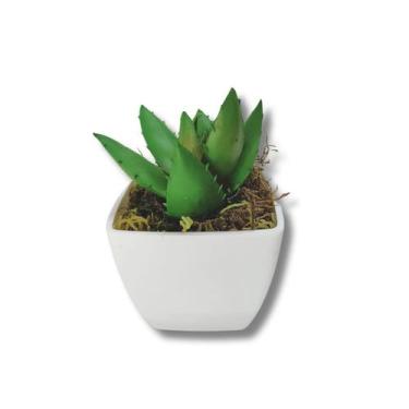 Imagem de Suculenta Artificial Mini Vaso de Plástico Branco - Decor Artificial 
