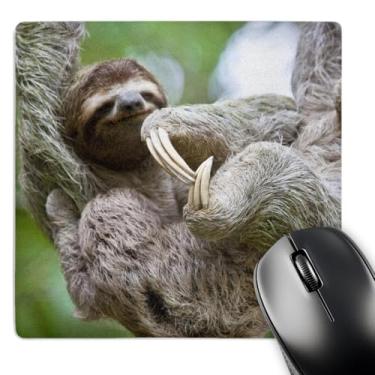 Imagem de 3dRose Mouse pad LLC 20 x 20 x 0,63 cm, bicho-preguiça marrom corcovado Costa Rica Jim Goldstein (mp_87172_1)