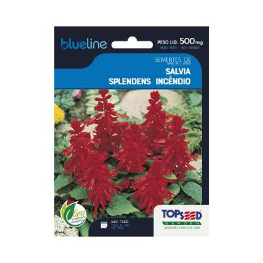 Imagem de Sementes de Sálvia Splendens Incêndio, Flores Vermelhas, 500mg
