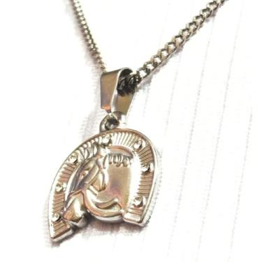 Imagem de Corrente com Pingente de Cavalo e Ferradura Aço Inox com Zircônias