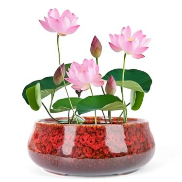 Imagem de ARTKETTY Tigela de lótus - Tigela grande de flor de lótus de 19 cm para plantas aquáticas, tigela de bonsai de cerâmica para plantas hidropônicas, suculentas, ambientes internos e externos