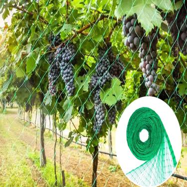 Imagem de Rede de pássaros para jardim protege plantas vegetais e árvores frutíferas, rede de treliça de plástico para pássaros, veados, esquilos e outros animais