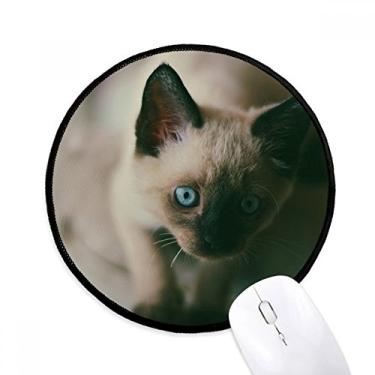 Imagem de Tapete de mouse para fotografia cinza animal de olho azul gatinho tapete redondo para computador