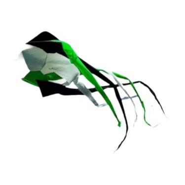 Imagem de Dynwave Flyer kite popular tubo rotativo pipa decoração prática estável fácil de usar cauda longa kite macio para parque esportes praia, Preto Branco Verde