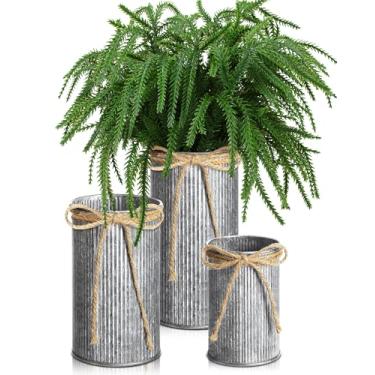 Imagem de Ninehaoou 3 vasos de fazenda com 30 ramos de pinheiro norfolk, hastes de vegetação para vasos artificiais de Natal, artesanato faça você mesmo, balde de flores galvanizado com laço de barbante para