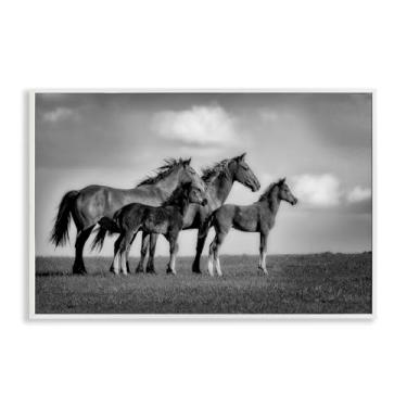 Imagem de Stupell Industries Babies On Board Horse Family Design de arte giclée emoldurado branco por Wendy Caro, 12 x 18
