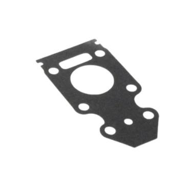 Imagem de Junta placa bomba agua yamaha 9.9 / 15 fm / gm - RAISMAN